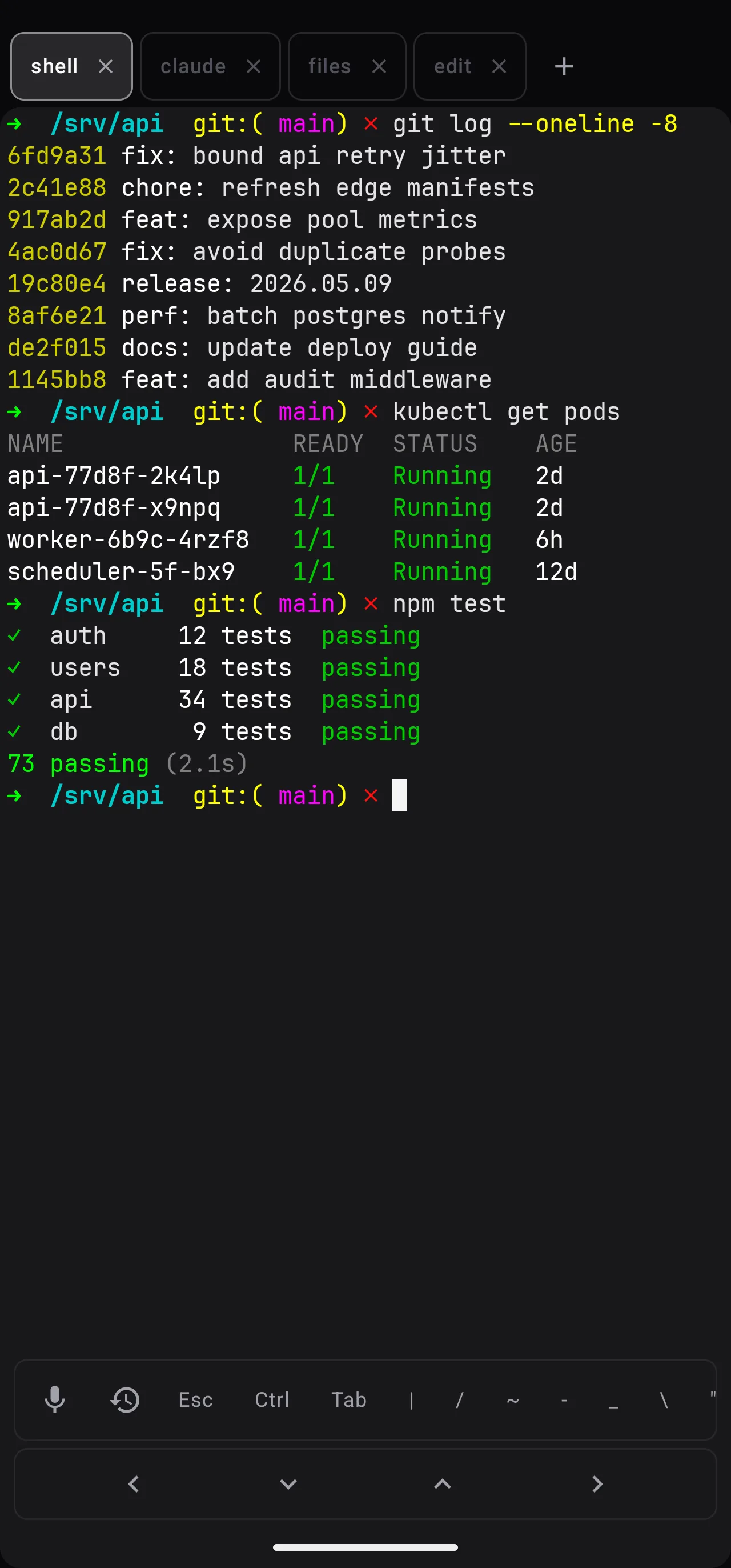 SSHoo shell tab with diagnostic commands and test output